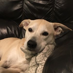 Meet your Posher, Becky